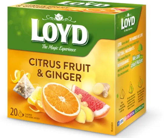 Taime- ja puuviljatee LOYD ingveri- ja tsitrusemaitseline 20 x 2g püramiid kotis