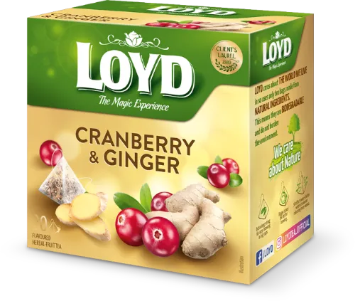 Taime- ja puuviljatee LOYD jõhvika- ja ingverimaitseline 20 x 2g püramiid kotis