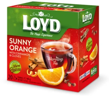 Taime- ja puuviljatee LOYDapelsinikaneeli ja nelgimaitseline 20 x 2g püramiid kotis