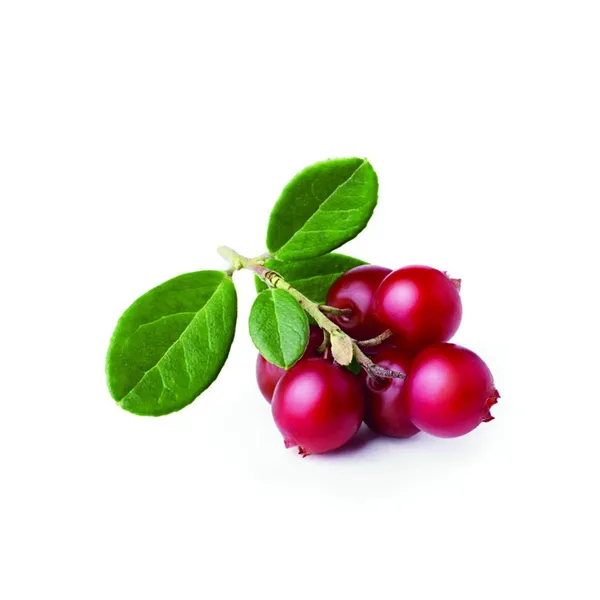 TANDEMUS Pohlad 2,5 kg