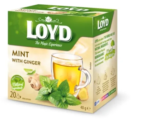 Tee LOYD, piparmündi ja ingverimaitseline , 20x2 g, püramiid kotis