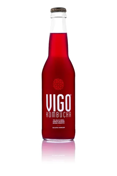 Teejook VIGO, Kombucha Acai, 300ml, pudel