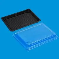 Toidukarp kaanega 26 x 19 x 4 cm, 100 tk, PS, sushile, ZIP TRADING