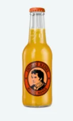Toonik vesi THOMAS HENRY Mystic Mango 0,2 L