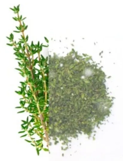 Tüümian HERBAFROST külmutatud, 10kg