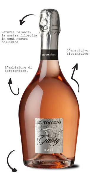 Vahuvein GABRY ROSE' SPUMANTE BRUT 12%vol 0,75L,R19/140514/27