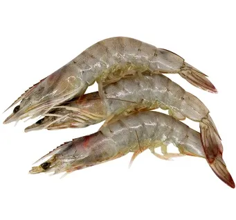 Vannamei krevetid, HOSO, toored, 70/80, 0% glasuur, külmutatud, 6kg