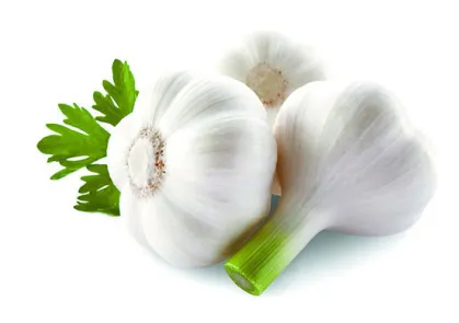 Ķiploki Latvija 35+,2 šķ., kg (T)