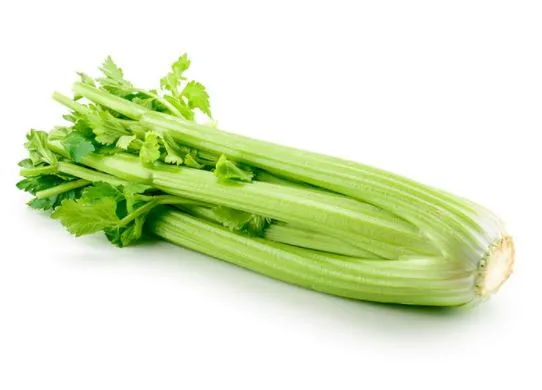 Selerijas kāti 14/16 kal., kg