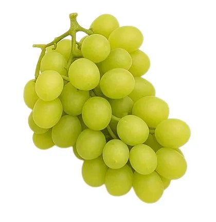 Viinamari hele seemneteta, Sugar Crisp, I klass, KG