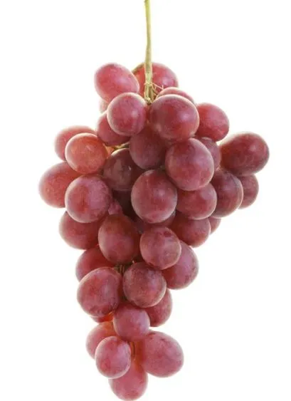 Vīnogas sarkanas "Red Globe" 2.šķ., kg