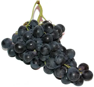 Vīnogas tumšās Premium, 1.šķ., kg