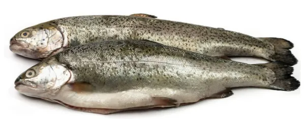 Vikerforell, peaga, roogitud, külmutatud, vaakumis ~400g