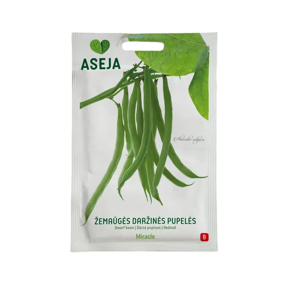 Dārza pupu sēklas Miracle, Aseja, 10g