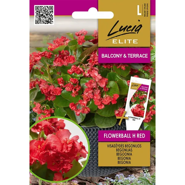 Begooniad Flowerball H Red
