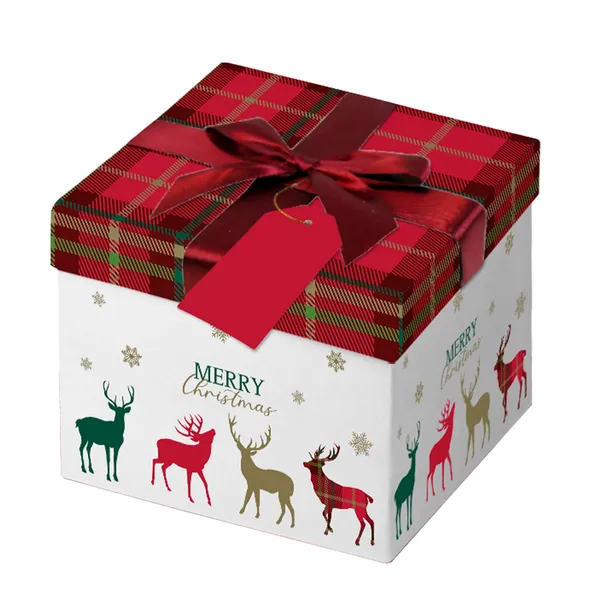 Dāvanu kaste 16x9 CM