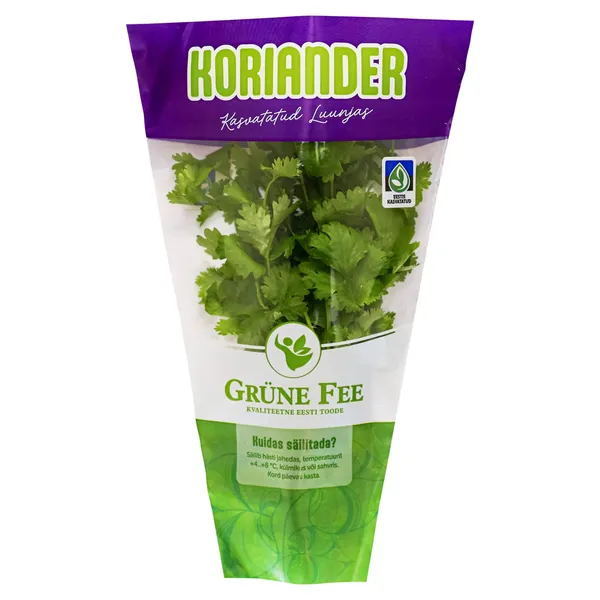 Koriander potis, GRÜNE FEE, 1 tk