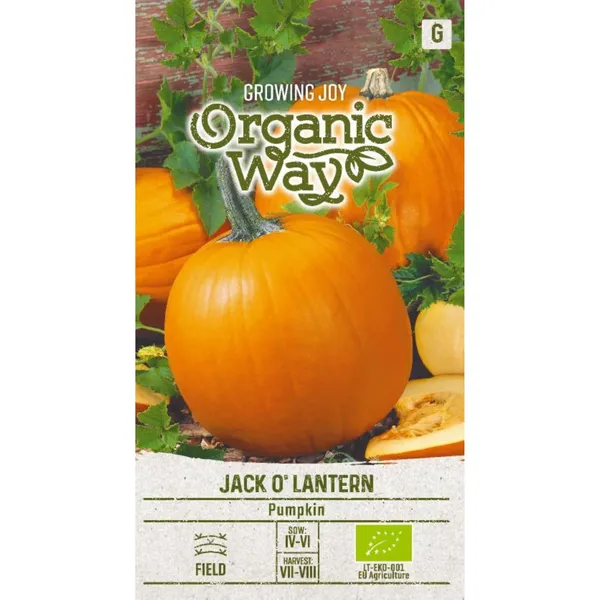Kõrvits Jack O' Lantern