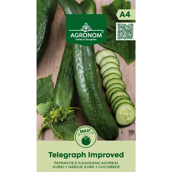 Kurgid Telegraph Improved