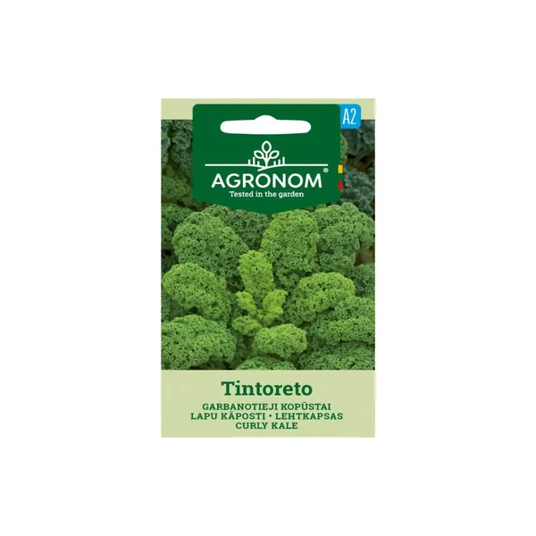 Lapu Kāposti Tintoreto