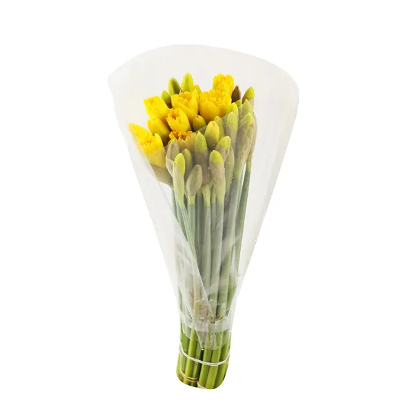 Nartsissikimp 28cm, 25 vart
