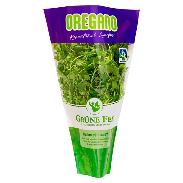 Oregano potis, GRÜNE FEE, 1 tk