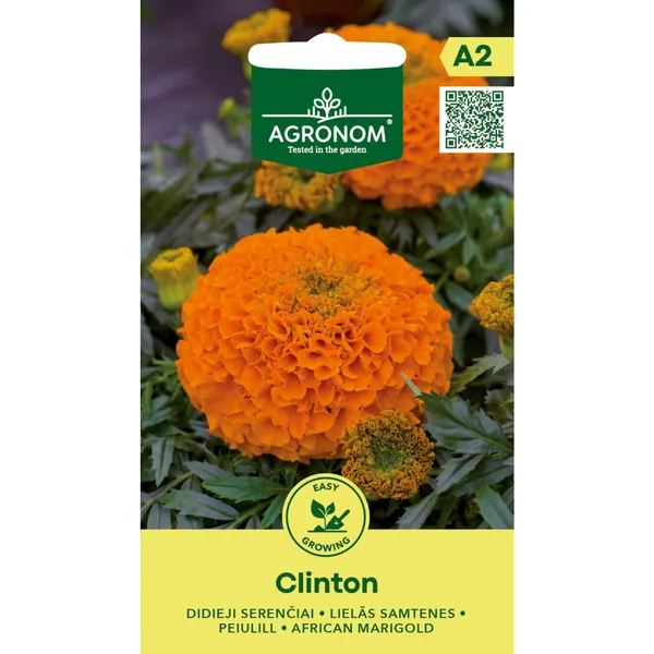 Peiulill Clinton