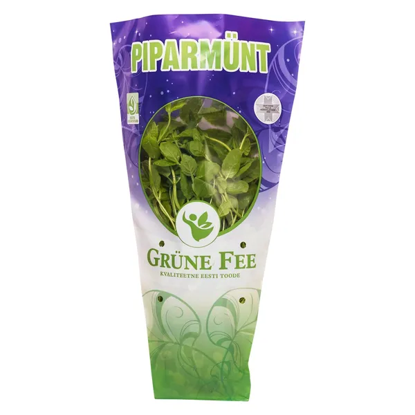 Piparmünt potis, GRÜNE FEE, 1 tk