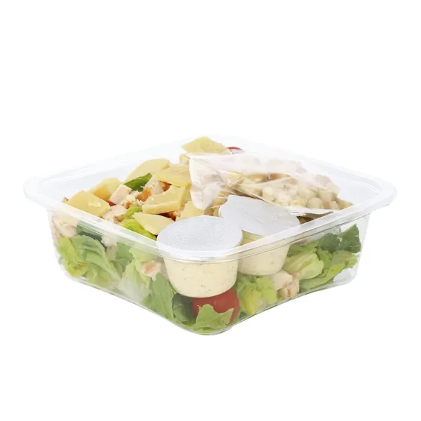 PT Caesari salat kanaga 400g (ETTETELLIMISEGA)