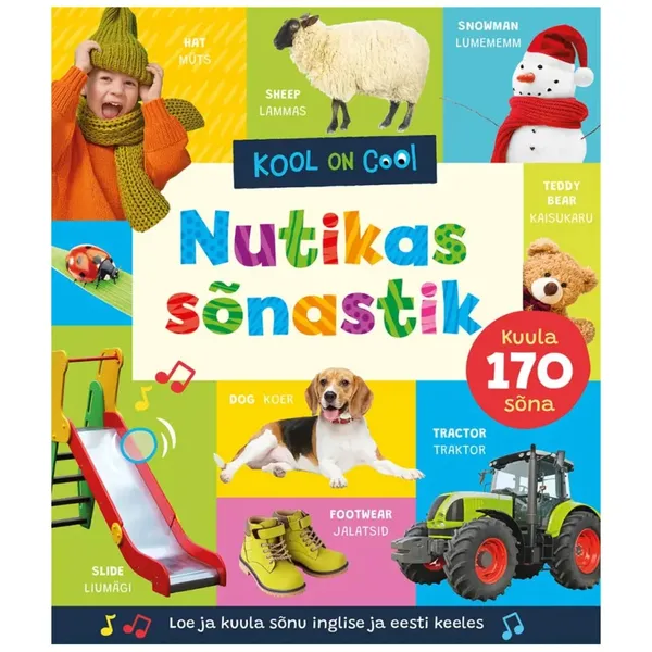 Raamat Nutikas sõnastik. Kool on cool