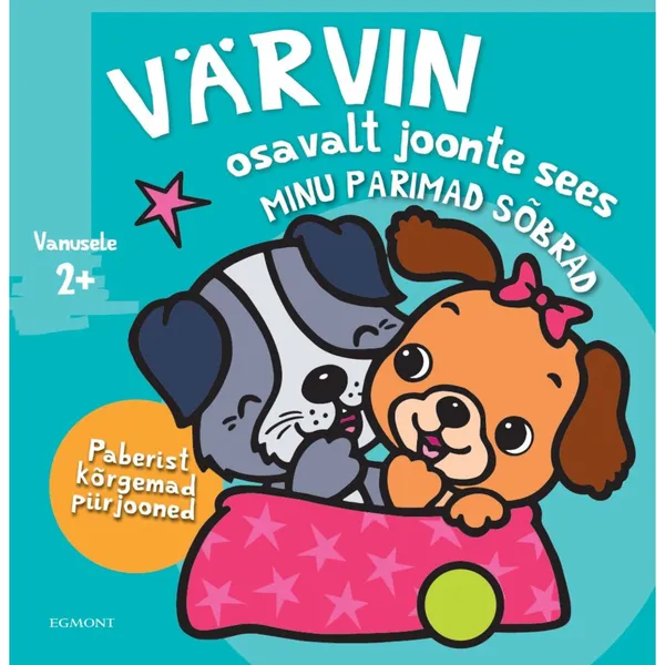 Raamat Värvin osavalt joonte sees. Minu parimad sõbrad
