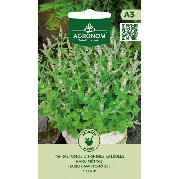 Sēklas AGRONOM Kaķu mētras