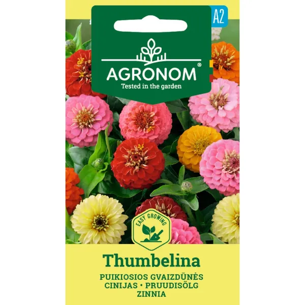 Sēklas AGRONOM Cinnijas Thumbelina