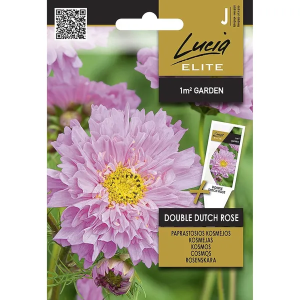 Seemned Lucia Elite Kosmos Dutch Rose LE