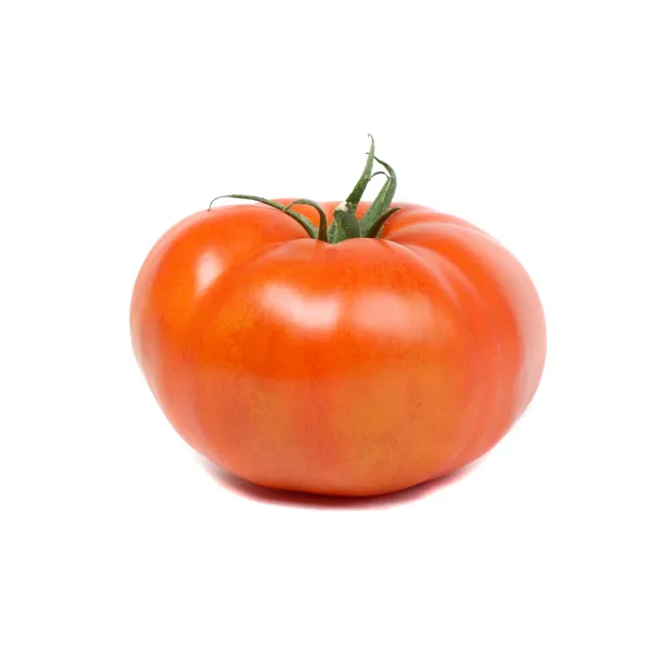 Tomāti Lady Elliot 82-102 mm, 1.šķ. kg