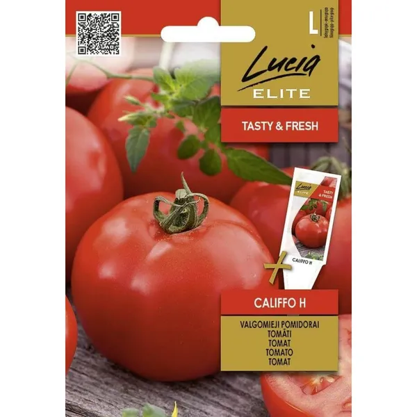 Tomatid Califfo H