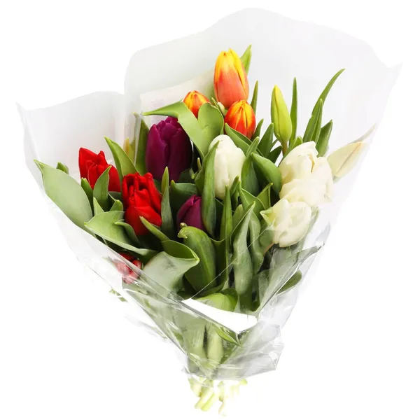 Tulpju pušķis 35cm, 17 kāti