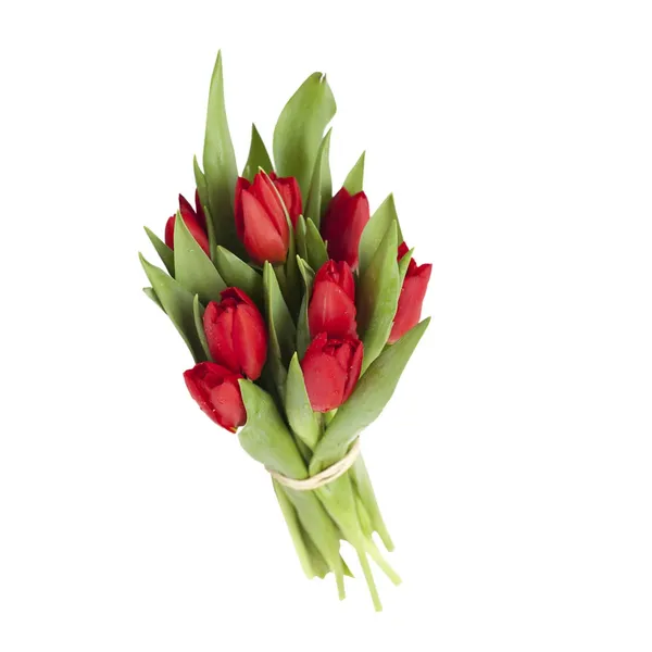 Tulbikimp 9vart