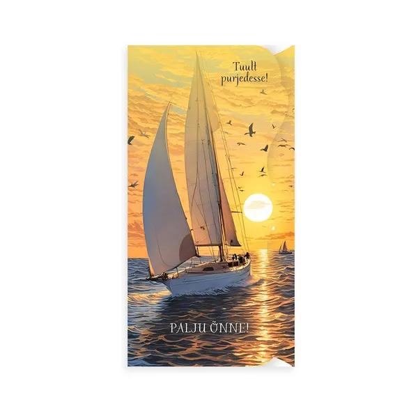 2-osaline postkaart, Rahakaart, 16,8x8,5cm, AGAPICS, 1tk