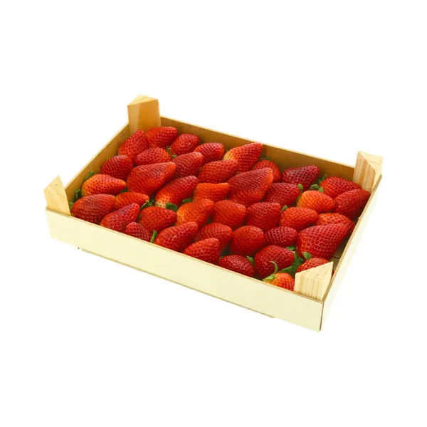 Maasikas kastis, 1 kg