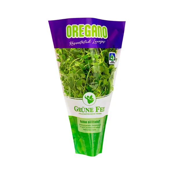 Oregano potis, GRÜNE FEE, 1 tk