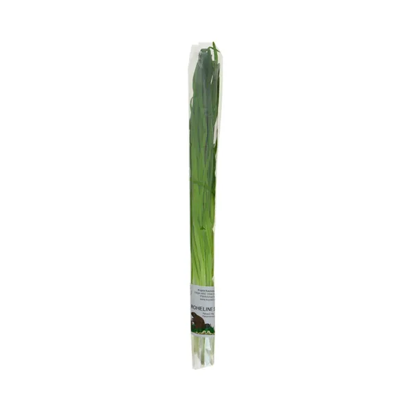 Roheline sibul pakendatud, 100 g