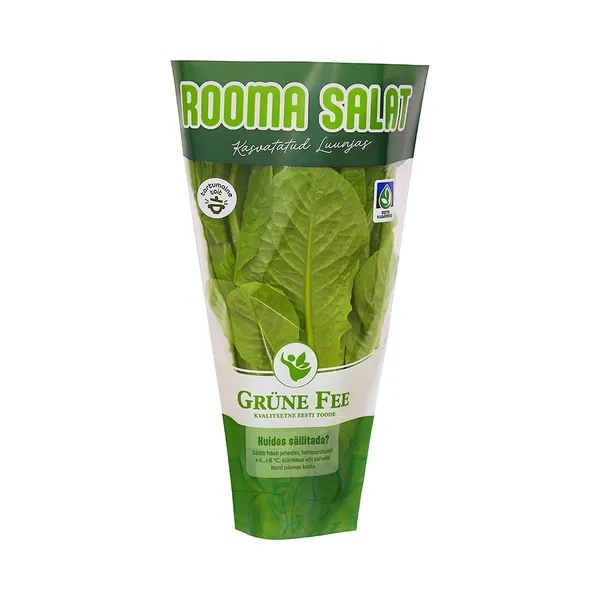 Rooma salat potis, GRÜNE FEE,1 tk