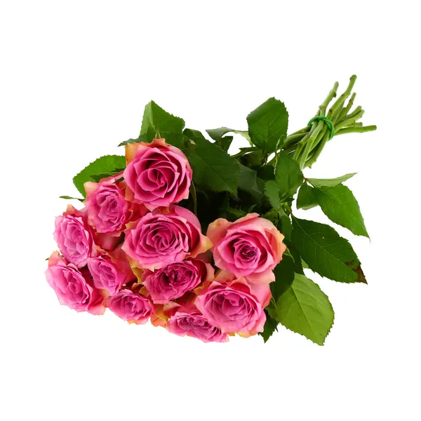 Roosid 50cm, 10tk, 1 tk