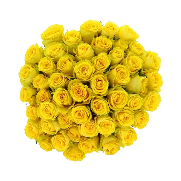 Roosikimp Kollane 50tk 60cm, 1 tk, ettetellimisel