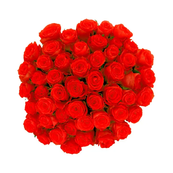 Roosikimp Punane 50tk 60cm, 1 tk, ettetellimisel