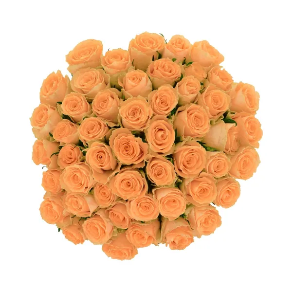 Roosikimp Roosa 50tk 60cm, 1 tk, ettetellimisel