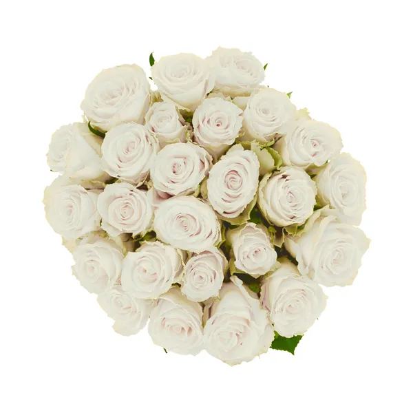 Roosikimp Valge 25tk 70cm, 1 tk, ettetellimisel