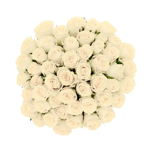 Roosikimp Valge 50tk 60cm, 1 tk, ettetellimisel