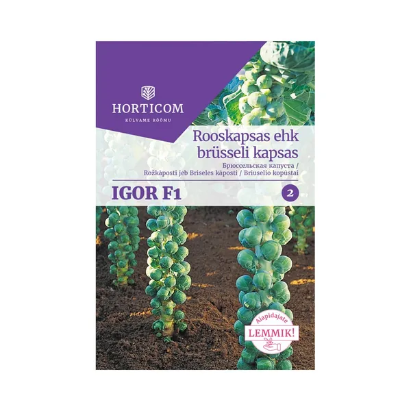 Rooskapsas ehk brüsseli kapsas Igor F1 50 seemet, HORTICOM, 1 tk